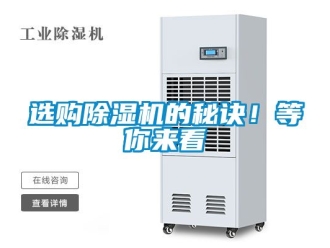 行業(yè)新聞選購除濕機(jī)的秘訣！等你來看