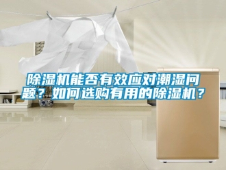 行業(yè)新聞除濕機(jī)能否有效應(yīng)對(duì)潮濕問題？如何選購(gòu)有用的除濕機(jī)？