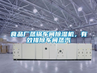 企業(yè)新聞食品廠蒸鍋車間除濕機(jī)，有效排除車間蒸汽