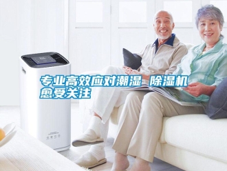 知識百科專業(yè)高效應(yīng)對潮濕 除濕機(jī)愈受關(guān)注