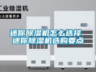 行業(yè)新聞迷你除濕機(jī)怎么選擇 迷你除濕機(jī)選購要點