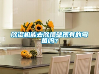 行業(yè)新聞除濕機(jī)能去除墻壁現(xiàn)有的霉菌嗎？