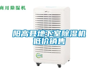 行業(yè)新聞陽(yáng)高縣地下室除濕機(jī)低價(jià)銷(xiāo)售