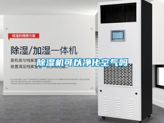 行業(yè)新聞除濕機可以凈化空氣嗎