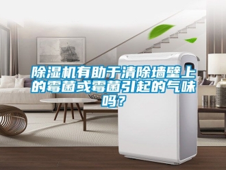 行業(yè)新聞除濕機有助于清除墻壁上的霉菌或霉菌引起的氣味嗎？