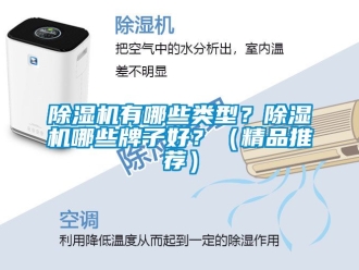 行業(yè)新聞除濕機有哪些類型？除濕機哪些牌子好？（精品推薦）