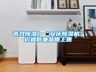 企業(yè)新聞高效除濕）“安慶除濕機”價格低廉品質上乘