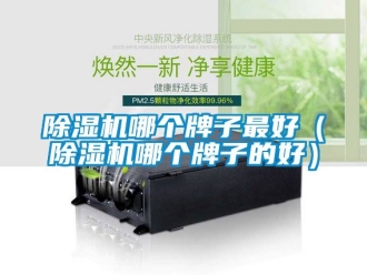 行業(yè)新聞除濕機哪個牌子最好（除濕機哪個牌子的好）