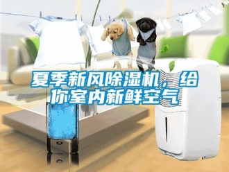 知識百科夏季新風(fēng)除濕機(jī)，給你室內(nèi)新鮮空氣