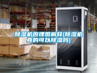 行業(yè)新聞除濕機原理圖解釋(除濕機真的可以除濕嗎)