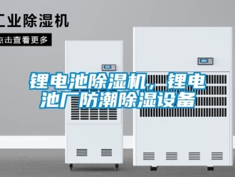 行業(yè)新聞鋰電池除濕機(jī)，鋰電池廠防潮除濕設(shè)備