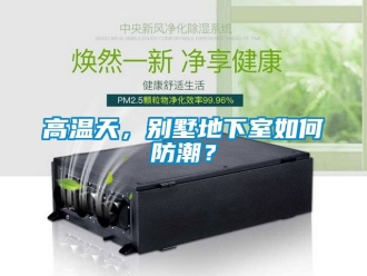 企業(yè)新聞高溫天，別墅地下室如何防潮？
