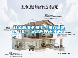 行業(yè)新聞鞋子潮濕不易干？推薦9款烘鞋機(jī)，除濕除臭還可殺菌