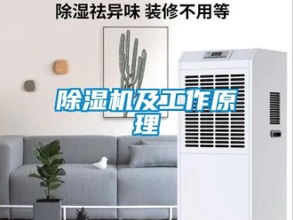 行業(yè)新聞除濕機及工作原理