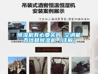 行業(yè)新聞除濕機有必要買嗎 空調(diào)能否代替除濕機【詳解】