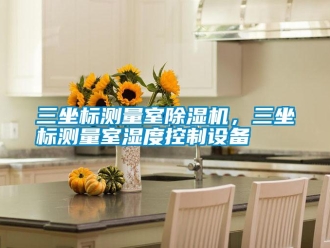 知識(shí)百科三坐標(biāo)測(cè)量室除濕機(jī)，三坐標(biāo)測(cè)量室濕度控制設(shè)備