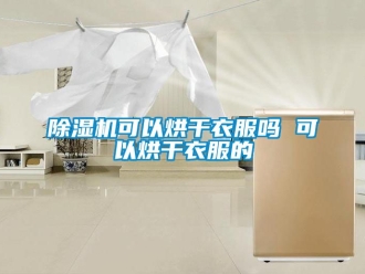 行業(yè)新聞除濕機(jī)可以烘干衣服嗎 可以烘干衣服的