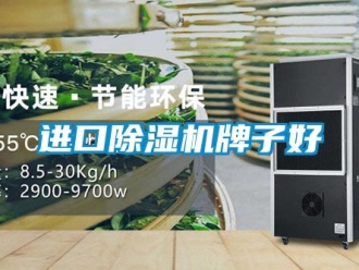 行業(yè)新聞進口除濕機牌子好
