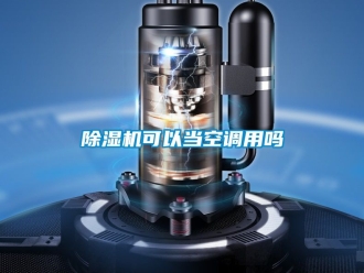 行業(yè)新聞除濕機(jī)可以當(dāng)空調(diào)用嗎