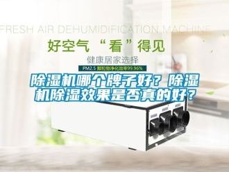 行業(yè)新聞除濕機哪個牌子好？除濕機除濕效果是否真的好？