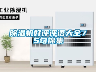 行業(yè)新聞除濕機好評評語大全75句錦集