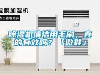 行業(yè)新聞除濕機清潔用毛刷，真的有效嗎？「傲群」