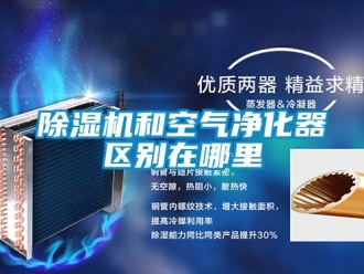 行業(yè)新聞除濕機(jī)和空氣凈化器區(qū)別在哪里