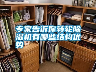 知識百科專家告訴你轉(zhuǎn)輪除濕機(jī)有哪些結(jié)構(gòu)優(yōu)勢