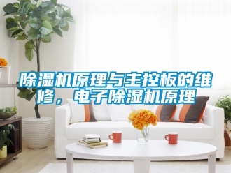 行業(yè)新聞除濕機原理與主控板的維修，電子除濕機原理