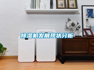 行業(yè)新聞除濕機發(fā)展現(xiàn)狀分析