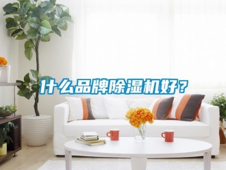 知識(shí)百科什么品牌除濕機(jī)好？