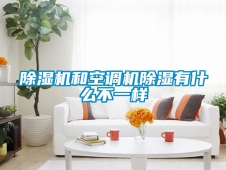 行業(yè)新聞除濕機和空調(diào)機除濕有什么不一樣