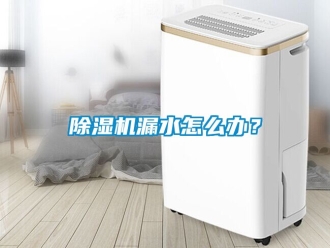 行業(yè)新聞除濕機漏水怎么辦？